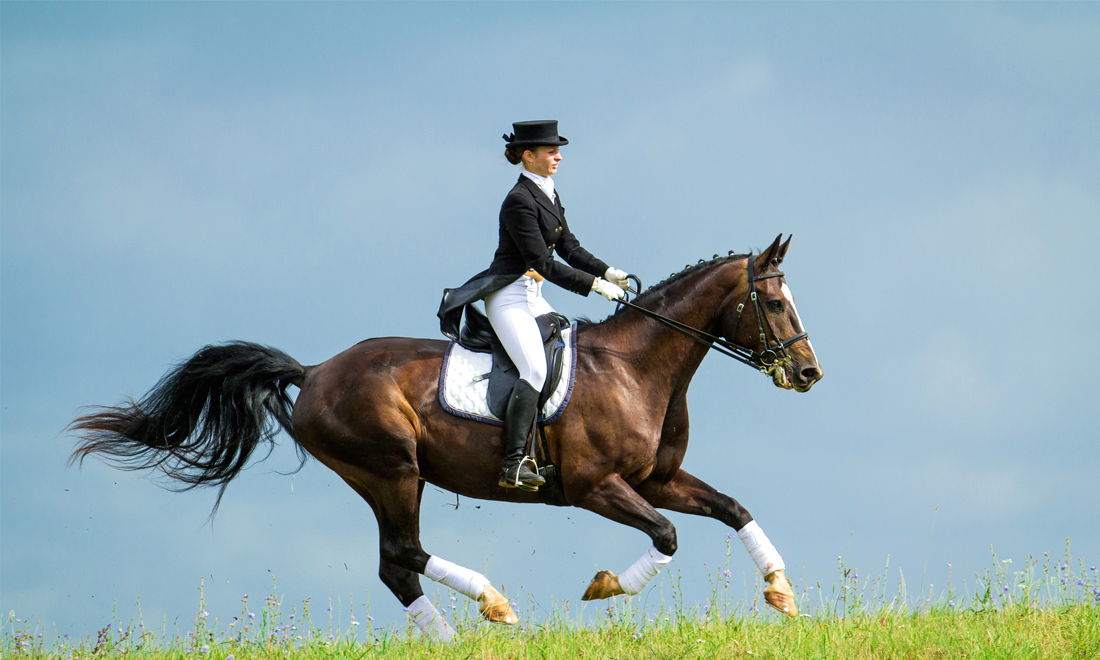 Assisted Riding Sessions