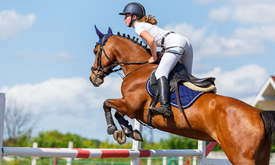 Private Horsemanship Training