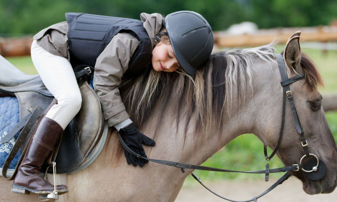 Beginner Riding Lessons
